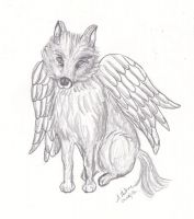 Angel wolf